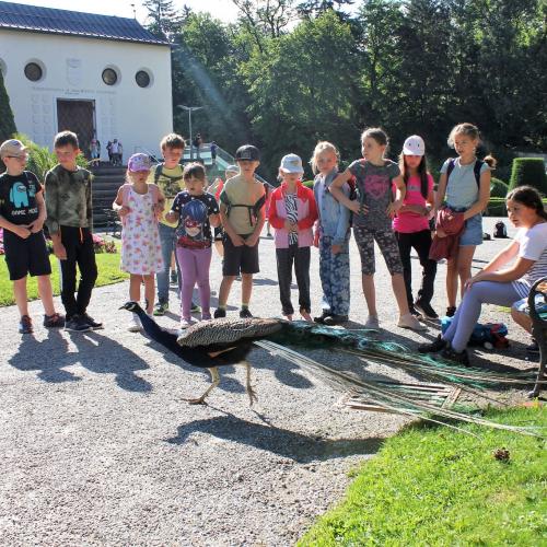 Schloss Ambras