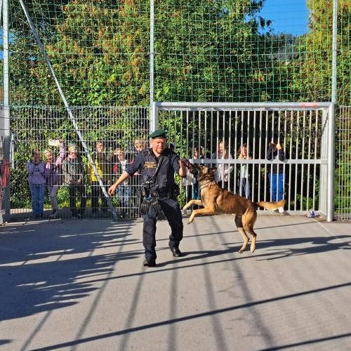 Kinderpolizei