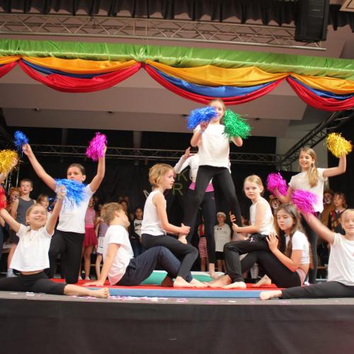 Zirkus Morio