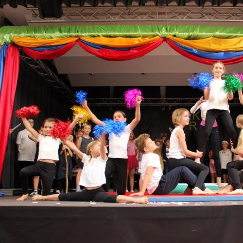 Zirkus Morio
