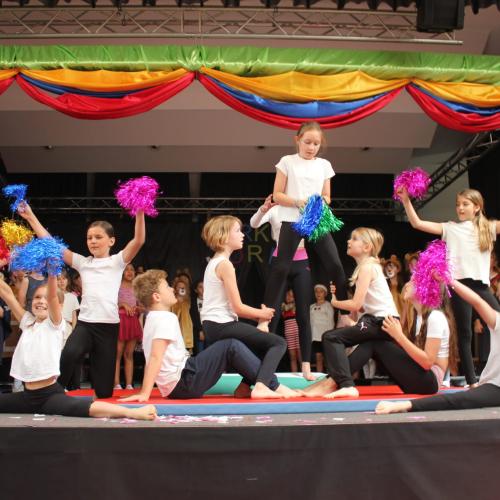 Zirkus Morio