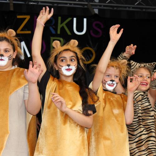 Zirkus Morio