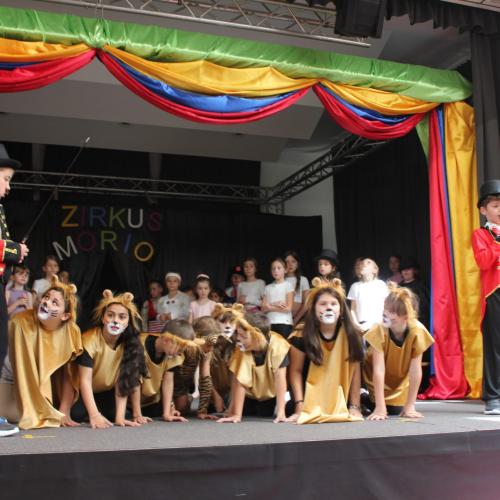 Zirkus Morio