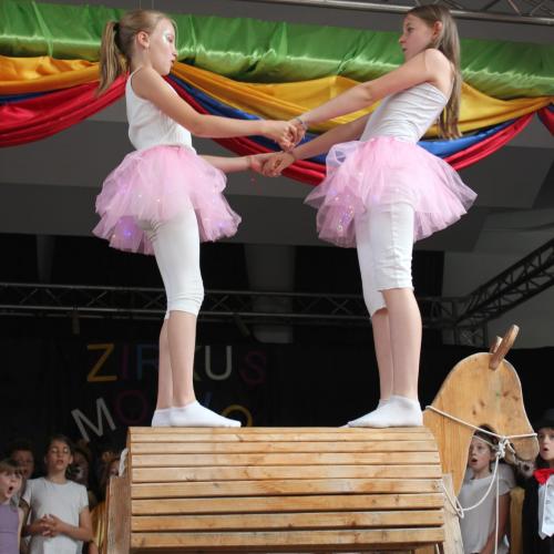 Zirkus Morio