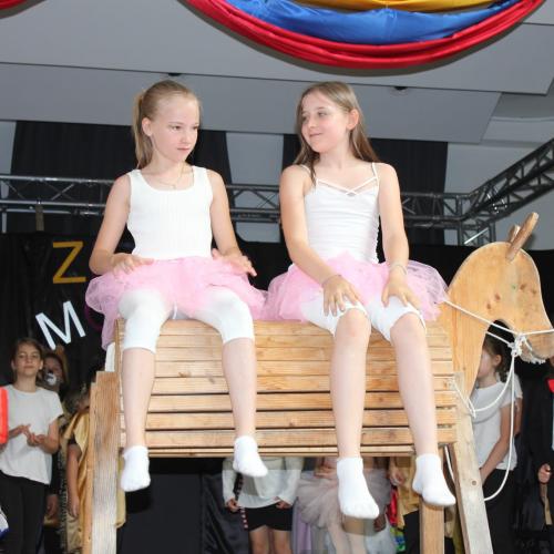 Zirkus Morio