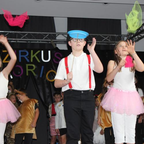 Zirkus Morio