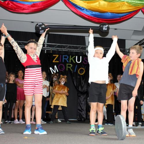 Zirkus Morio