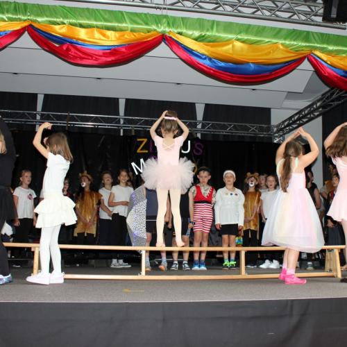 Zirkus Morio