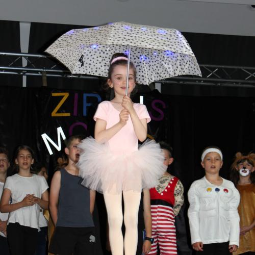 Zirkus Morio