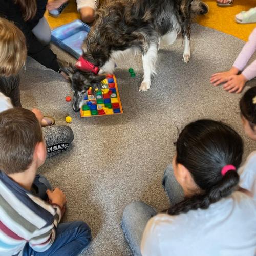 Therapiehund