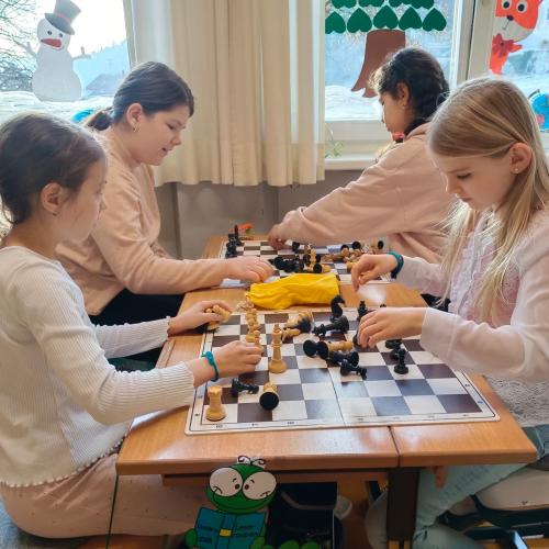 Schachworkshop