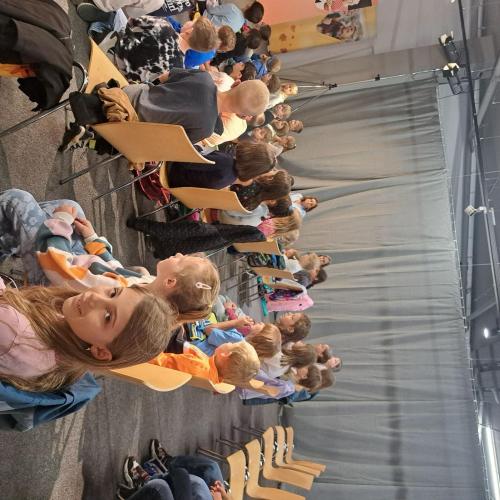Pflegetheater